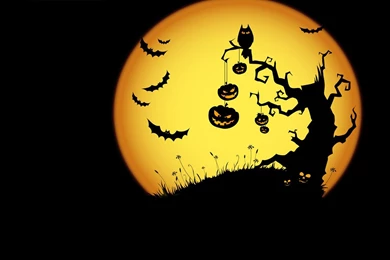 Jack Skellington Halloween Wallpapers   Bing Images