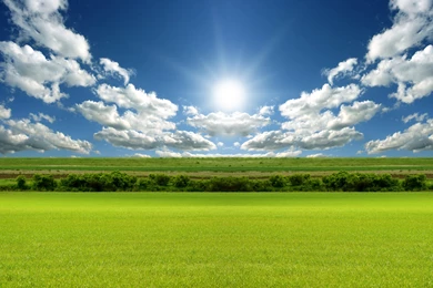 Spring Season Wallpapers 2560x1600