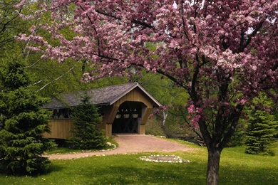 Spring Season Desktop Wallpapers : Nature Wallpapers   LocaLwom