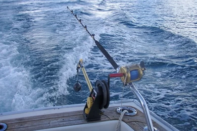 Deep Sea Fishing Quotes. QuotesGram