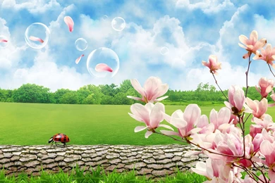 Beautiful Spring Season Android Wallpapers : Nature Wallpapers ...