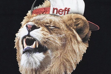 Top Neff Logo Face Wallpapers