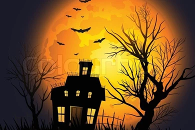 Spooky Halloween Backgrounds Featuring A Scary Black Spider ...