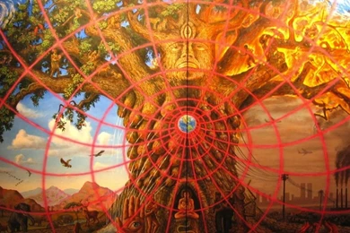 Trippy Alex Grey Wallpapers