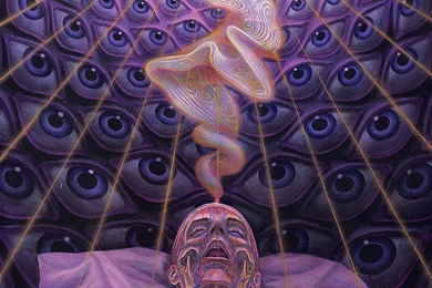 Инструмент триповый Alex Gray Wallpapers