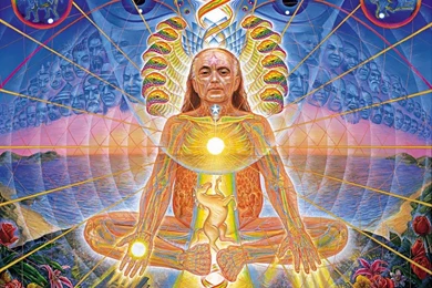 SITS On The OPAL Tour (12/07 – 12/09) – The Ascension And Willing ...