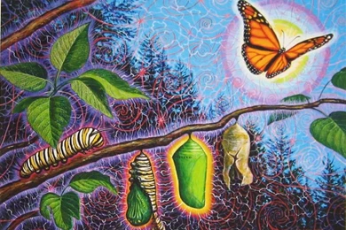 CoSM Blog: June 2011