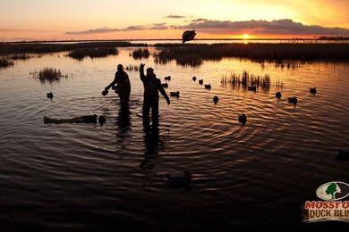 Duck Hunting Wallpapers   HD Wallpapers Wide