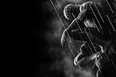 Spider Man HD Wallpapers   Wallpapers Cave