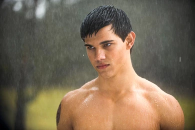 HD Taylor Lautner Twilight Actor Wallpapers For Desktop Full Size ...