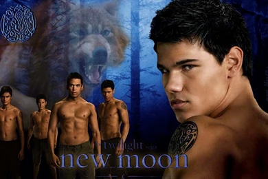 Taylor Lautner New Moon