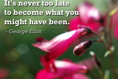 Free iPhone Wallpapers To Motivate & Inspire You