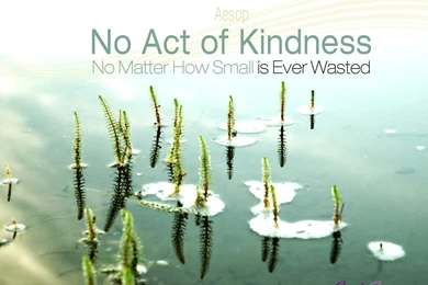 Malerbaeiki: Hang On Motivational Wallpapers