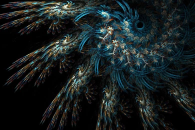 Indian Wedding By Riverfox1 On DeviantArt