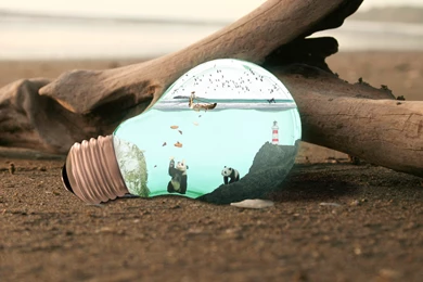 Manipulation Amazing HD Wallpapers 2015 (High Quality)   All HD ...