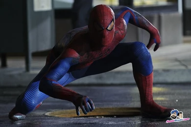 The Amazing Spider Man Wallpapers, Pictures, Photos, Screensavers ...