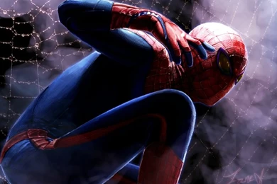 Spiderman Peter Parker The Amazing Spider Man 2012 Andrew Garfield ...