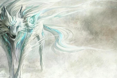 COYOTE STARRK WALLPAPER   (