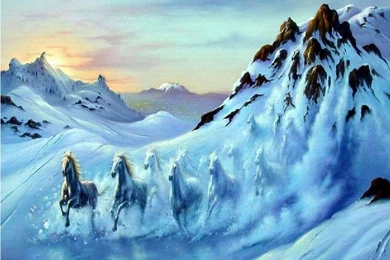 Download Running Horses HD Wallpapers