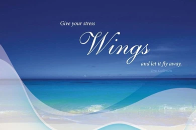 Wings Motivational Wallpapers