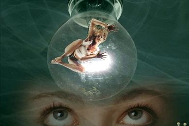 Most Funny Photos   Wallpapers HD Base