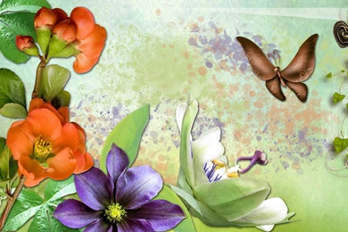 Wallpapers Naturepac Nature Beauty 1920x1080