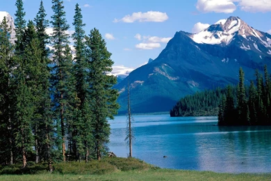 Beautiful Wallpapers