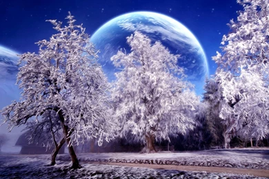 Artistic Winter Wallpapers   White Trees And Big Moon