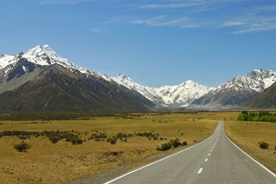 Free Vector Stock: Windows 8 Wallpapers