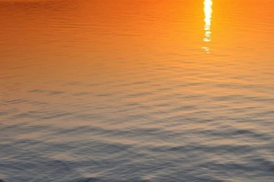 Orange Horizon Sunset iPhone 5s Wallpapers Download