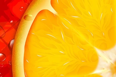 Orange Slice iPhone 4s Wallpapers Download