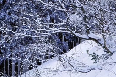 Winter Snow Scenes Wallpapers   Wallpapers Cave