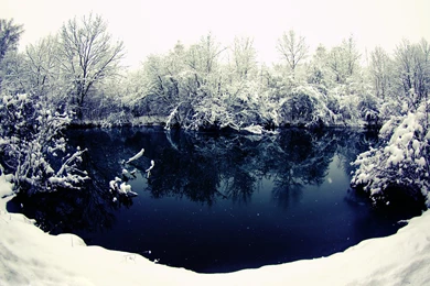 Snow Winter Scene Wallpapers