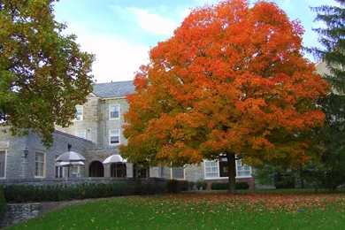 Download Miami Ohio Wallpapers   Clawson Hall Fall Colors At Miami ...