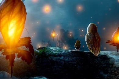 Owls Of Ga'hoole On Pinterest