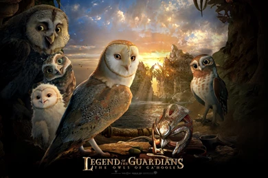 22 Legend Of The Guardians: The Owls Of Ga'Hoole HD Wallpapers ...