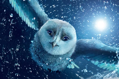 Legend Of The Guardians The Owls Of Ga Hoole HD Desktop Wallpapers ...