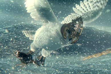 Legend Of The Guardians Movie Wallpapers