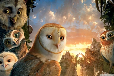 Download Legend Of The Guardians The Owls Of Ga Hoole 3 Wallpapers ...