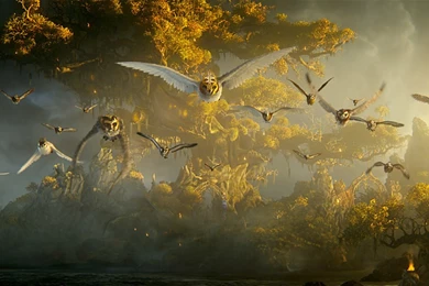 Legend Of The Guardians: The Owls Of Ga'Hoole (2)