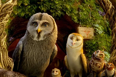 Legend Of The Guardians: The Owls Of Ga'Hoole (2)
