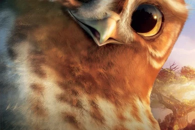 Gylfi From Legend Of The Guardians Desktop Wallpapers