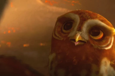 Legend_of_the_guardians Wallpapers