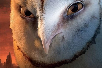 Kludd The Owl From Legend Of The Guardians Desktop Wallpapers