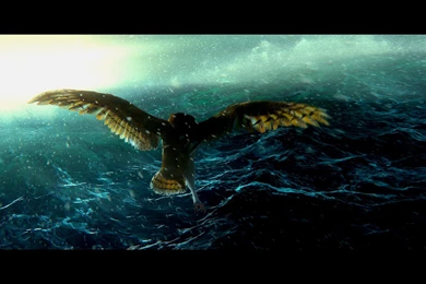 LEGEND GUARDIANS OWLS GAHOOLE Animation Fantasy Adventure Family ...