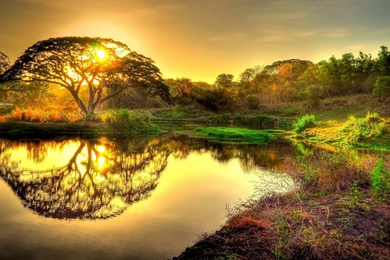 Wallpapers > Nature > Sunrise Picture Backgrounds @ Collect HD