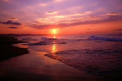 Beach Sunrise Backgrounds