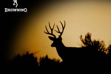 Browning Knives   Extreme S.A.S