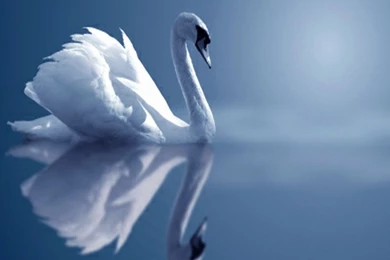 Download New Wallpapers For Desktop,desktop Wallpapers