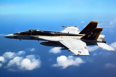 F 18 Super Hornet